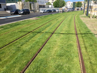 Straßenbahn auf Rasen